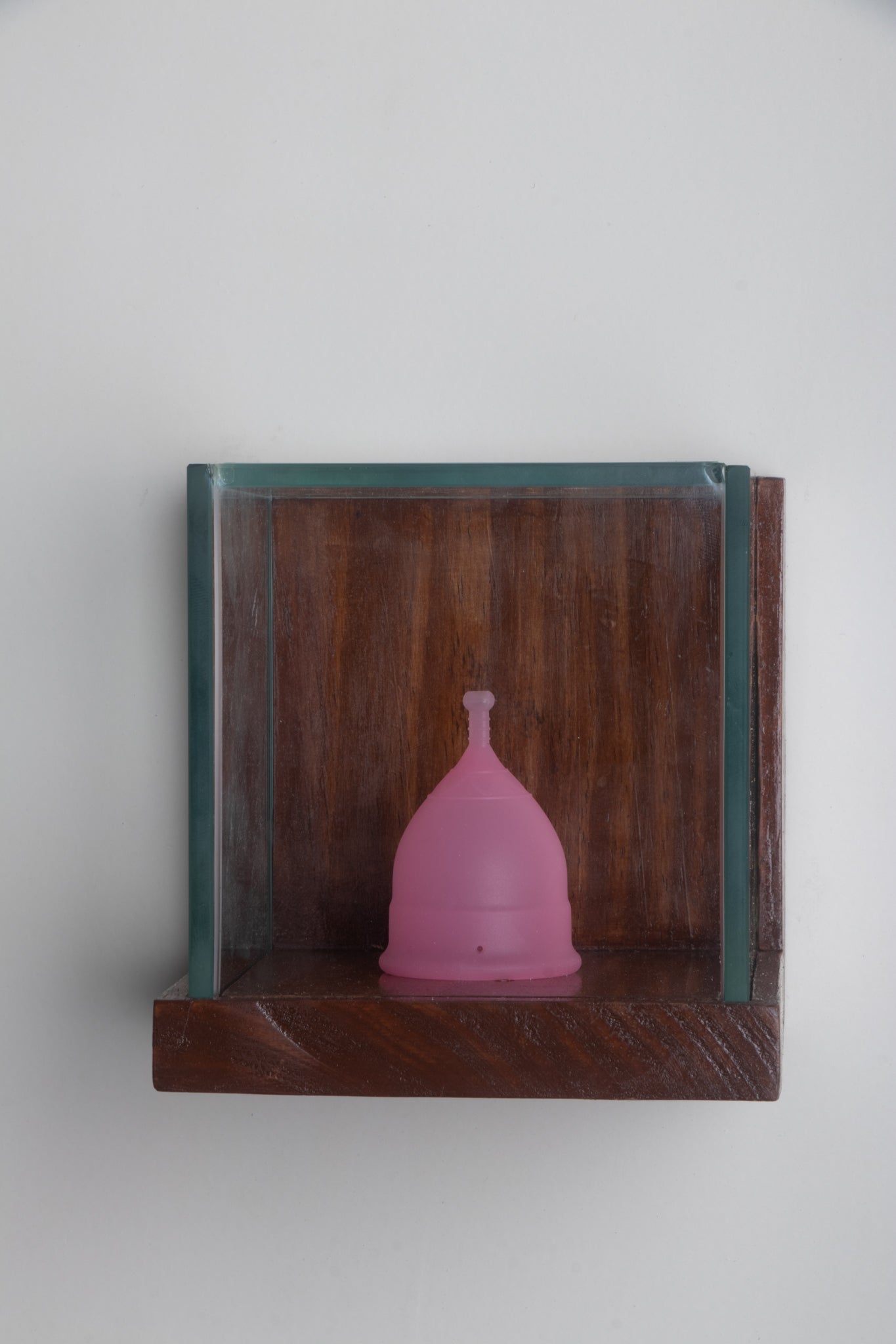 'Collectors Bell' by Saviya Lopes